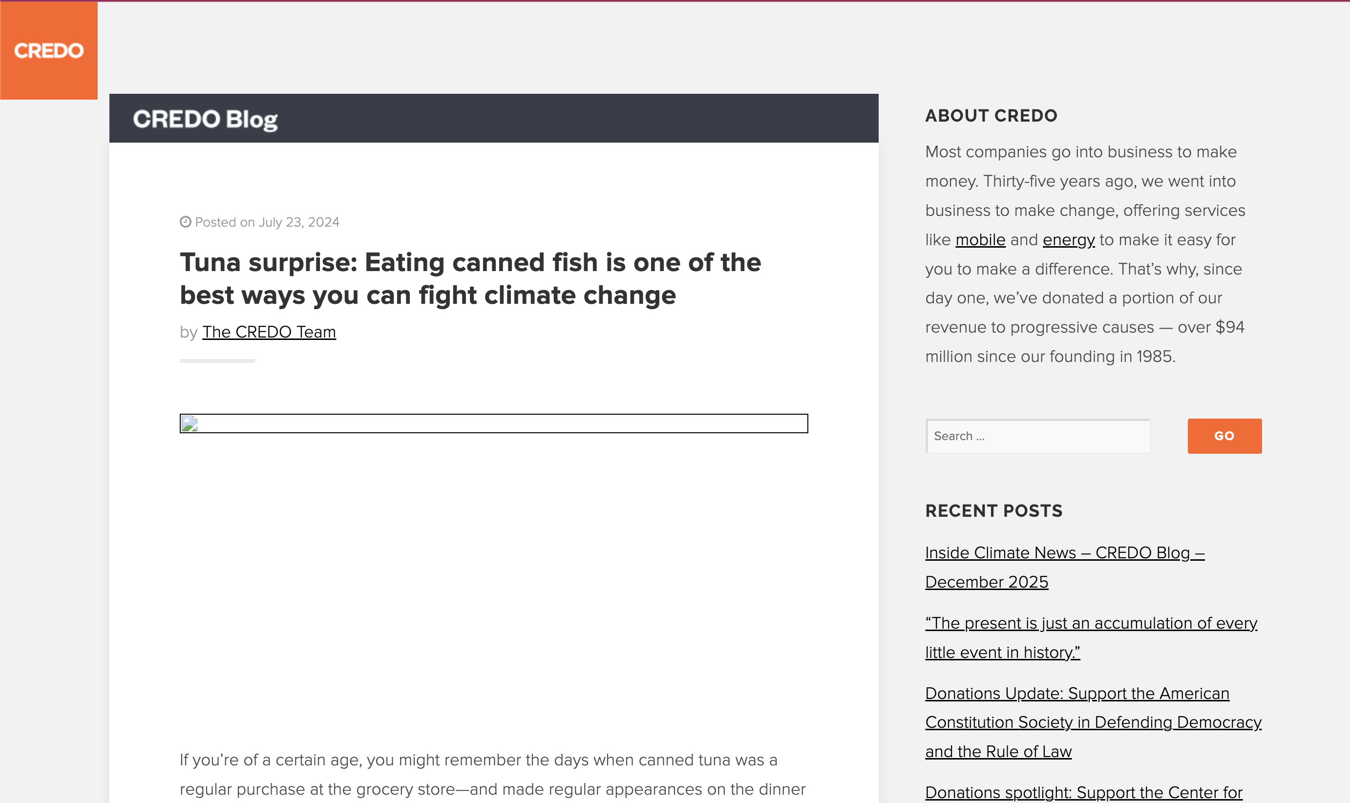 Desktop view of the CREDO Blog article Tuna surprise