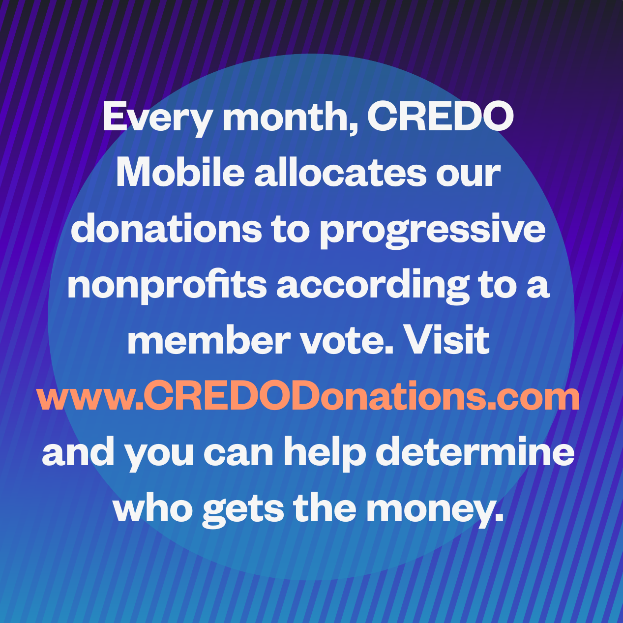 Explanation of CREDO's monthly member voting program