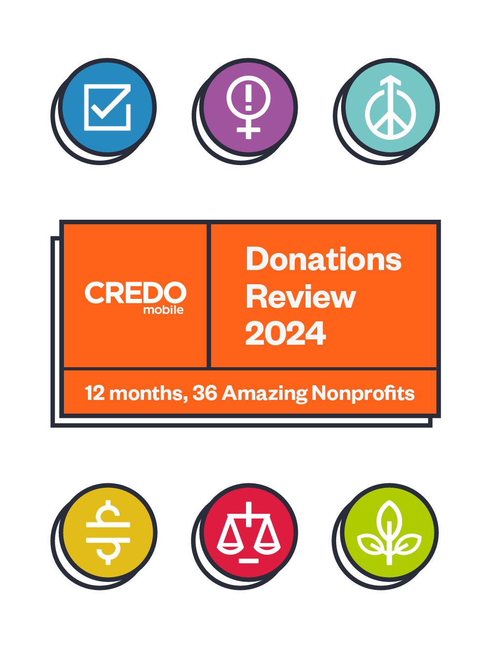 CREDO Mobile Donations Review 2024 infographic
